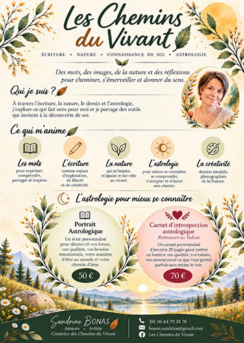 Sandrine Bonas